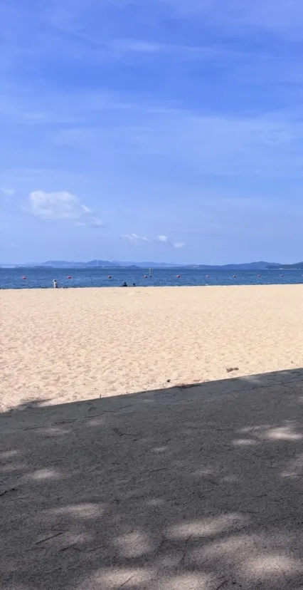 海