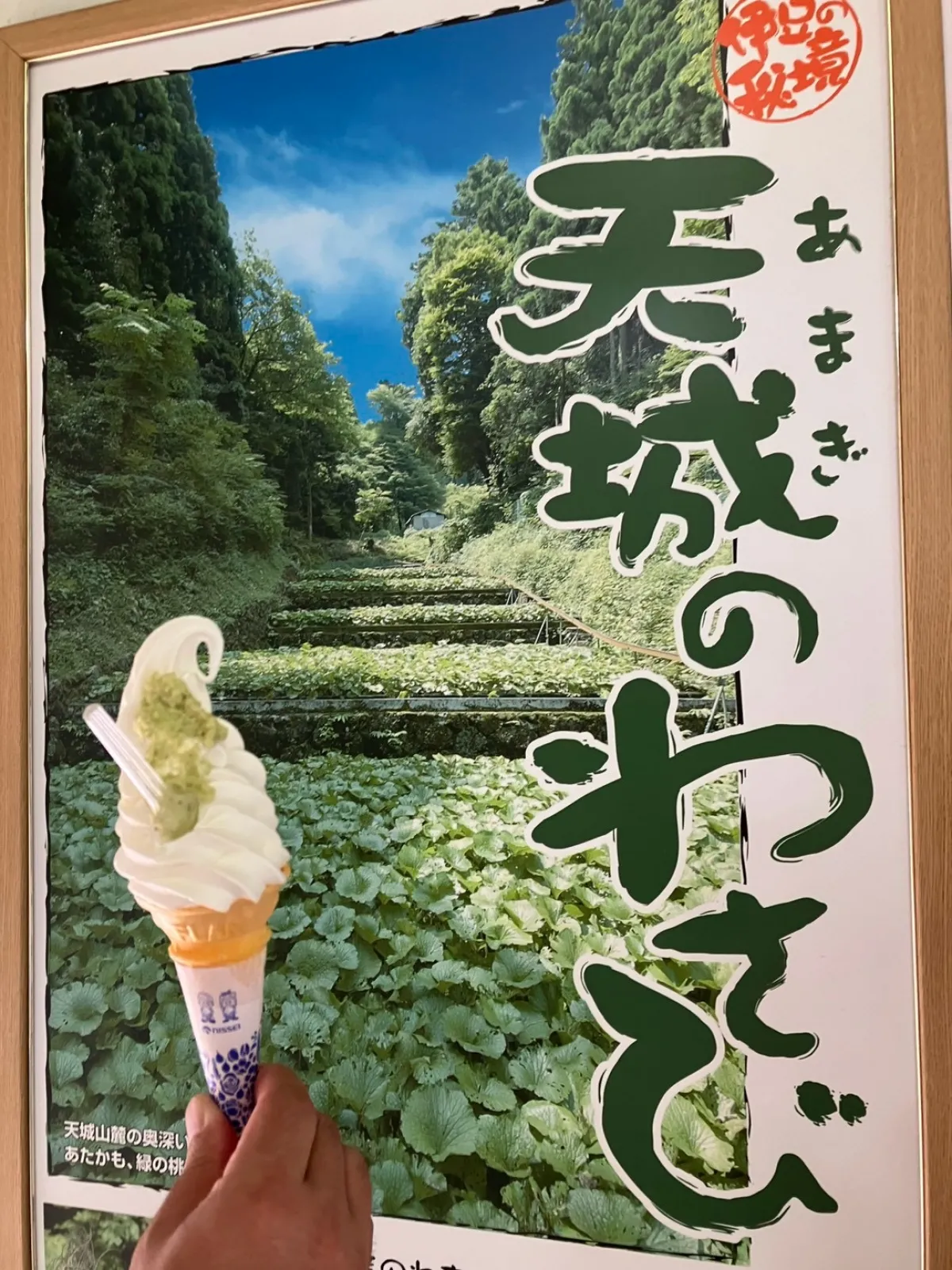天城越えで有名ですが、天城トンネルは通りませんでした。　車で通れるみたいですがすれ違いはできないらしいです。

ソフトクリームに、その場でおろしたワサビがのっています