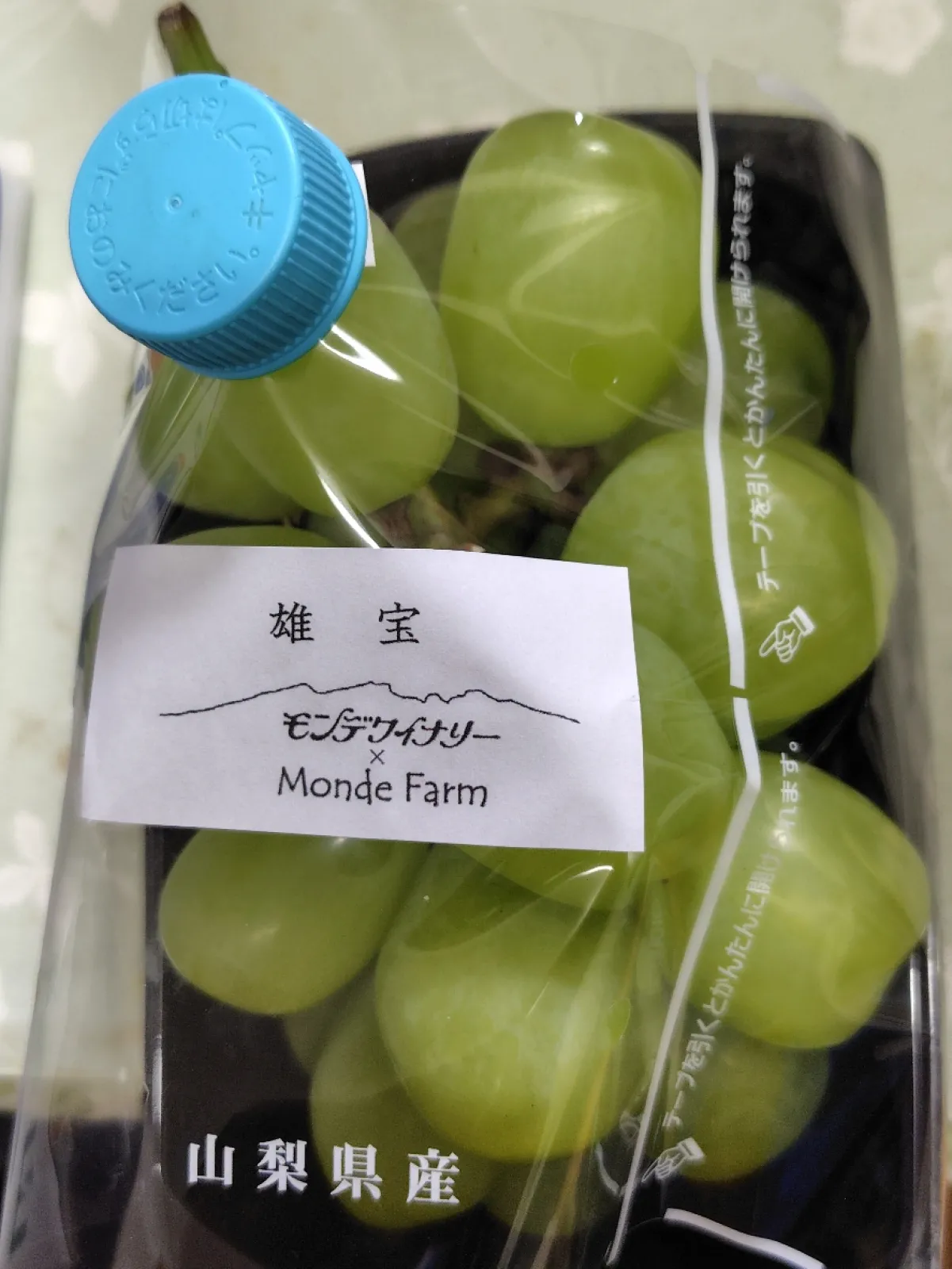 １枚目は、道の駅甲斐大和で買ったモンデワイナリーの雄宝です。
約６７０グラムの大きな房です🍇（１５００円）
２枚目は、国宝大善寺（ぶどう寺）で売っていたシャインマスカットです。
こちらは、約８７０グラムで１０００円でした。
（傷等が多少あるので安いそうです）
雄宝も皮ごと食べられます🤗