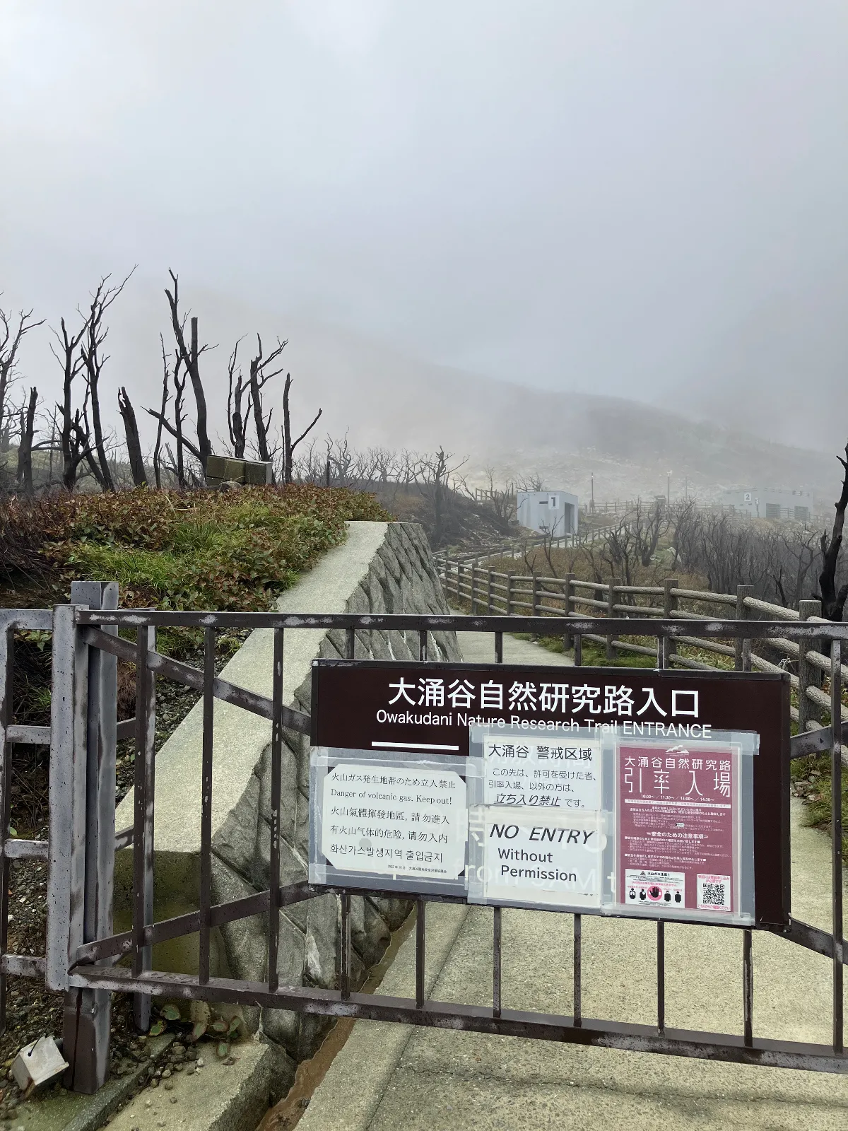 大涌谷を係の方の誘導でヘルメット着用で見学できます、事前に予約していき楽しみにしていましたが、天候等不順で中止になりました。

自然にはお世話になってますから、また次回の楽しみにします。