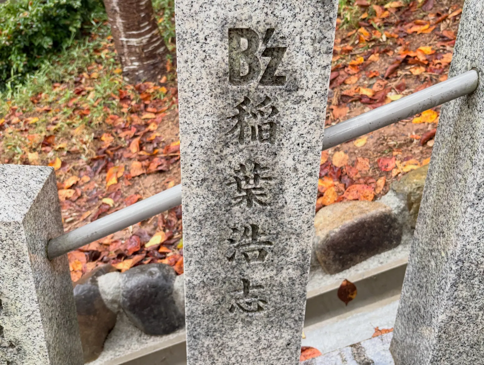 お店の前の神社にあります⛩️