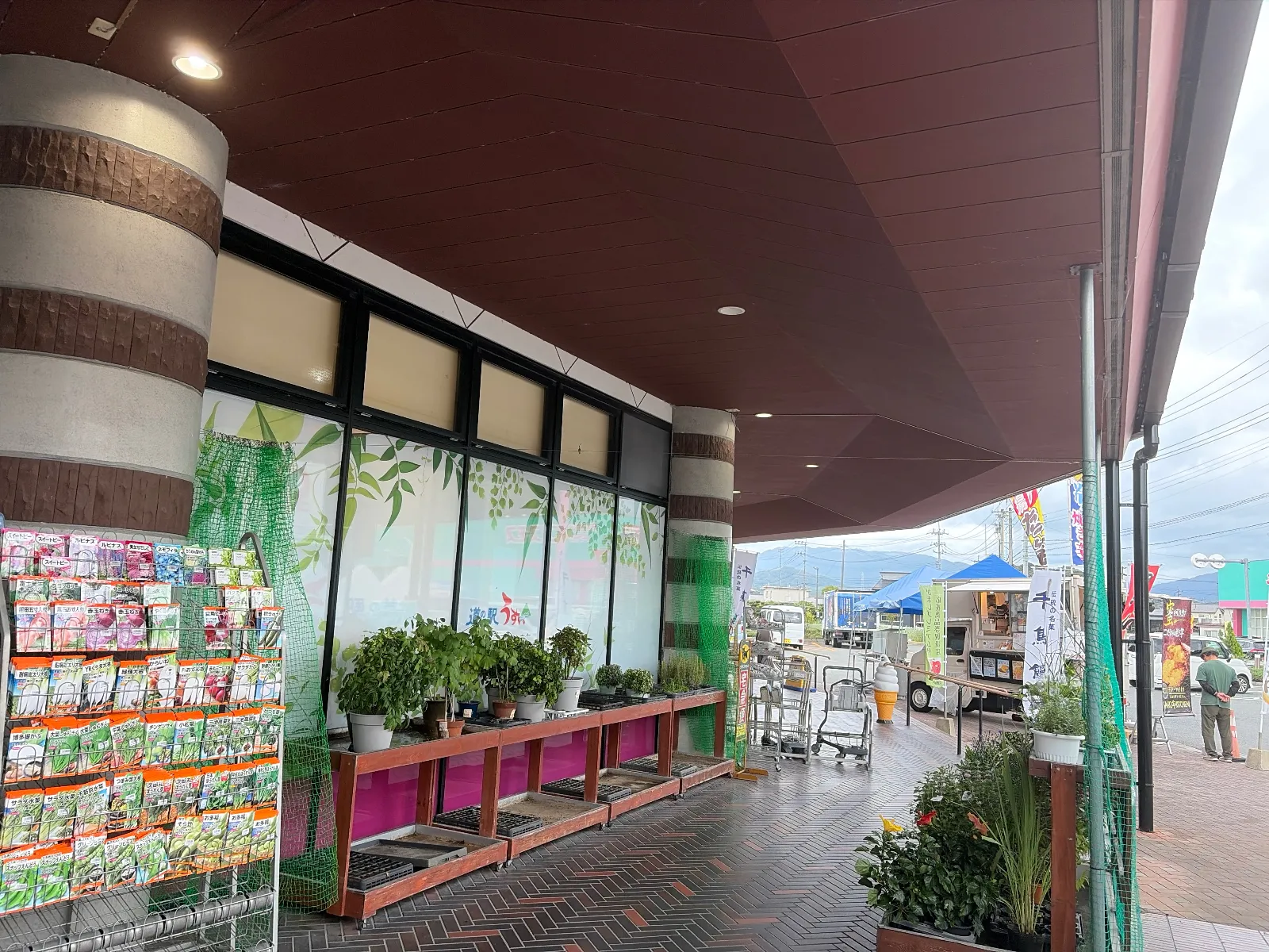出店がいました