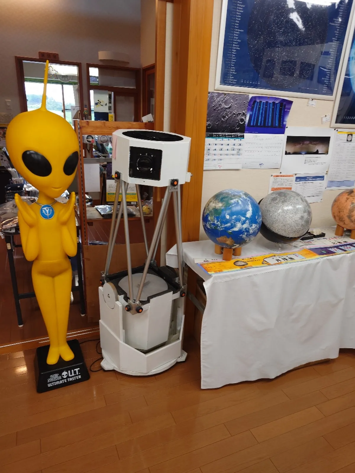 なんか黄色いグレイが居るんだけど・・・
