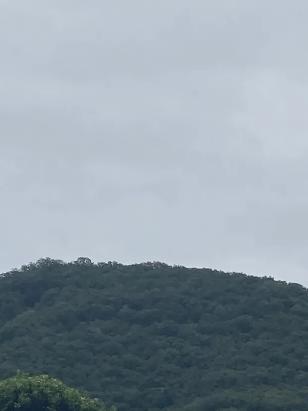 散歩