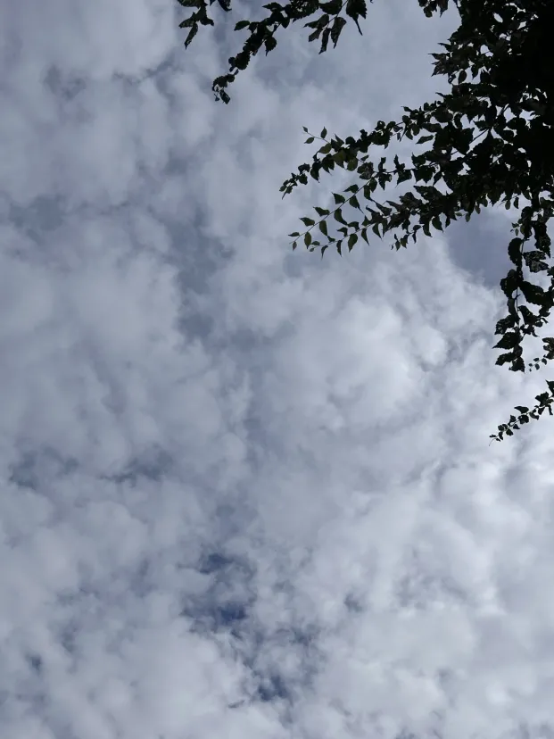 雲多い