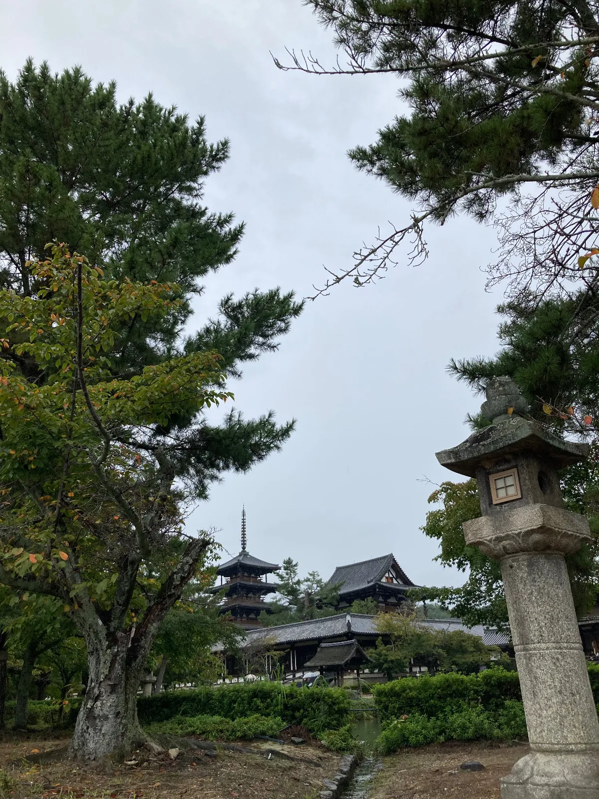 本日は法隆寺を最後に、NBオープンして来ました。スッキリしない天気ながら、私の気持ちはスッキリ！　せっかくなのですから。

修学旅行の中学生と一緒のタイミングで拝観。
楽しそうです♪

かつて、私もそんな時があった。遥か昔の話ですが、なんとなくここでもいい思い出が蘇りました。

今日はここまで、
ではまた。