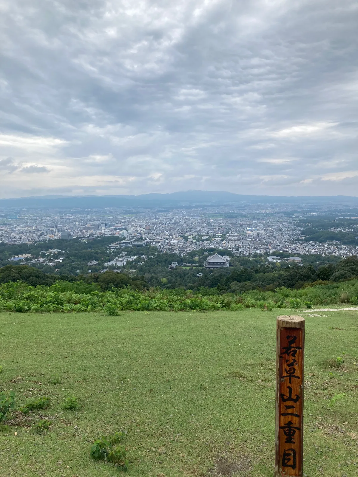 ひとまわりして、若草山に登って来ました。
階段がきつい😓。30分から40分くらい？
動く態勢の服装でないのがややつらい。
汗だくになってしまい、展望台でやや乾くまで
待ってから降りて来ました。

実は、昨晩のブラタモリで奈良の明日香の世界遺産登録、文化遺産だったかの番組を見て、さらに登りたくなったのでした。雨も降っていなかったので助かりました。

奈良公園はインバウンドの方が半分くらいの感じ、鹿との記念写真を撮るのが大変そうでしたね。
