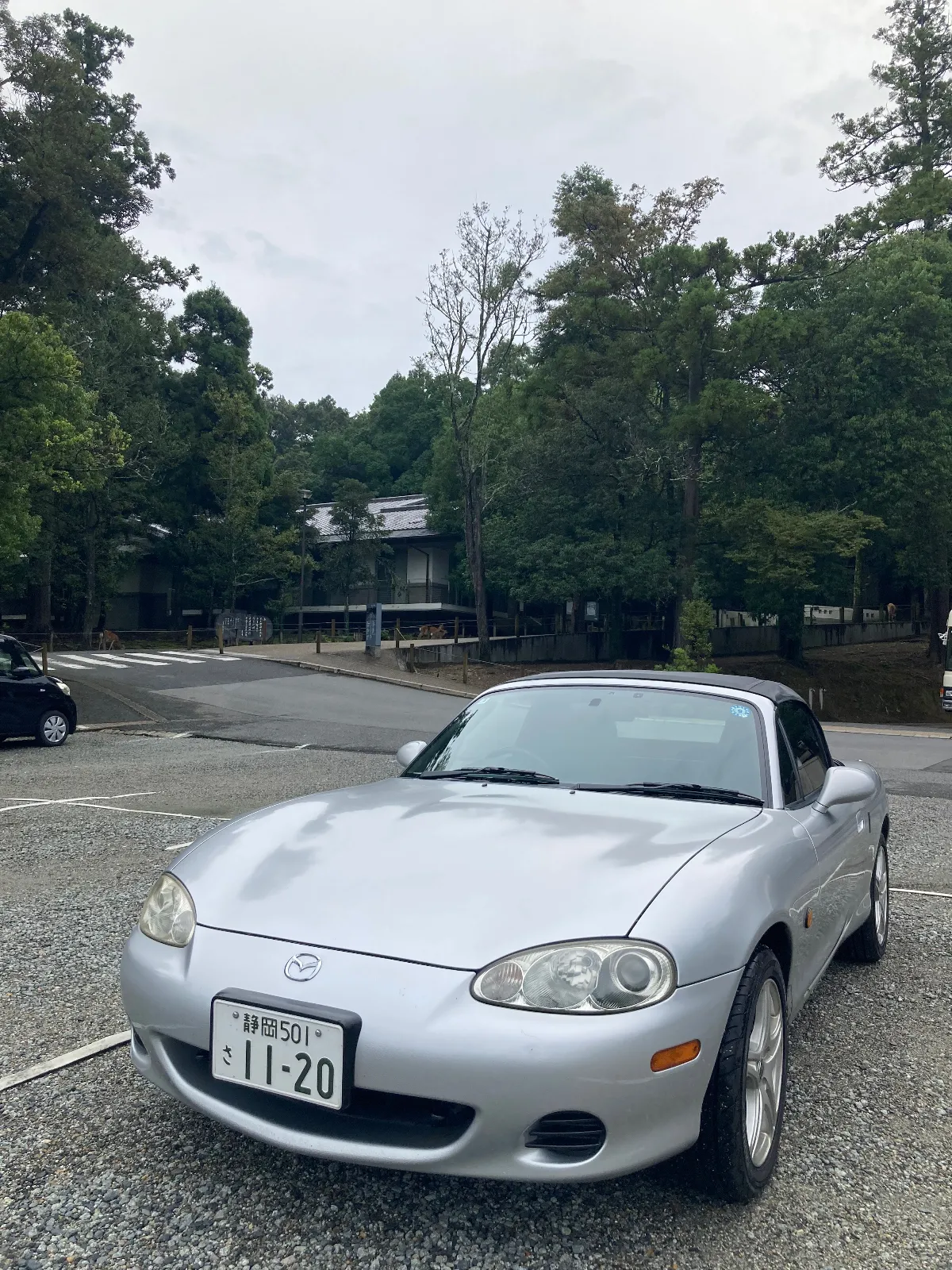 7時半、春日大社の駐車場が開いて、ちょうど入れました。奈良へご到着です。