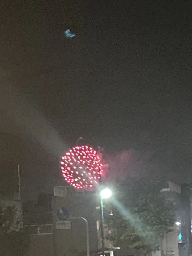 夜の散歩