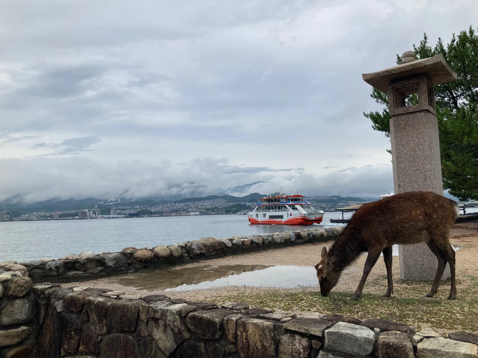 奈良に続いて、ツカイの鹿を入れてエンド。

今日はここまで、
ではまた。