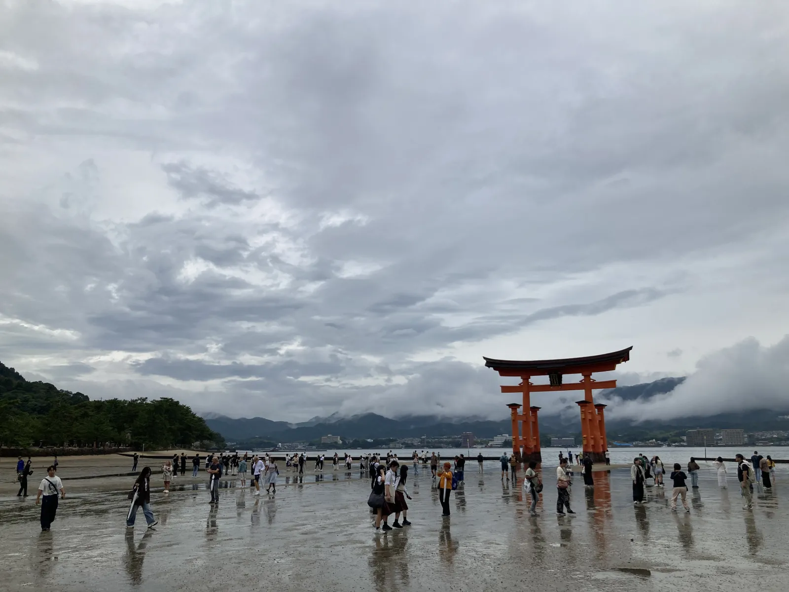 潮が引いた鳥居。みなさんも。