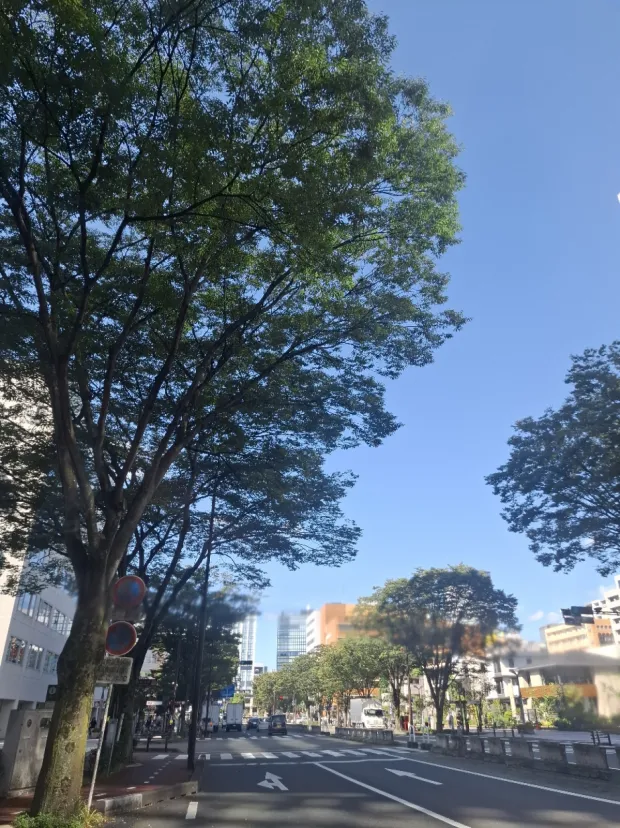 仙台駅東口　宮城野通り