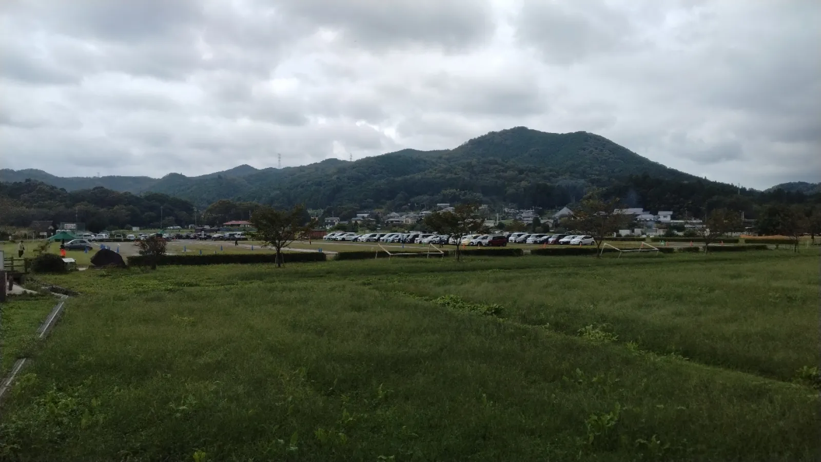日高市の巾着田に来ました。