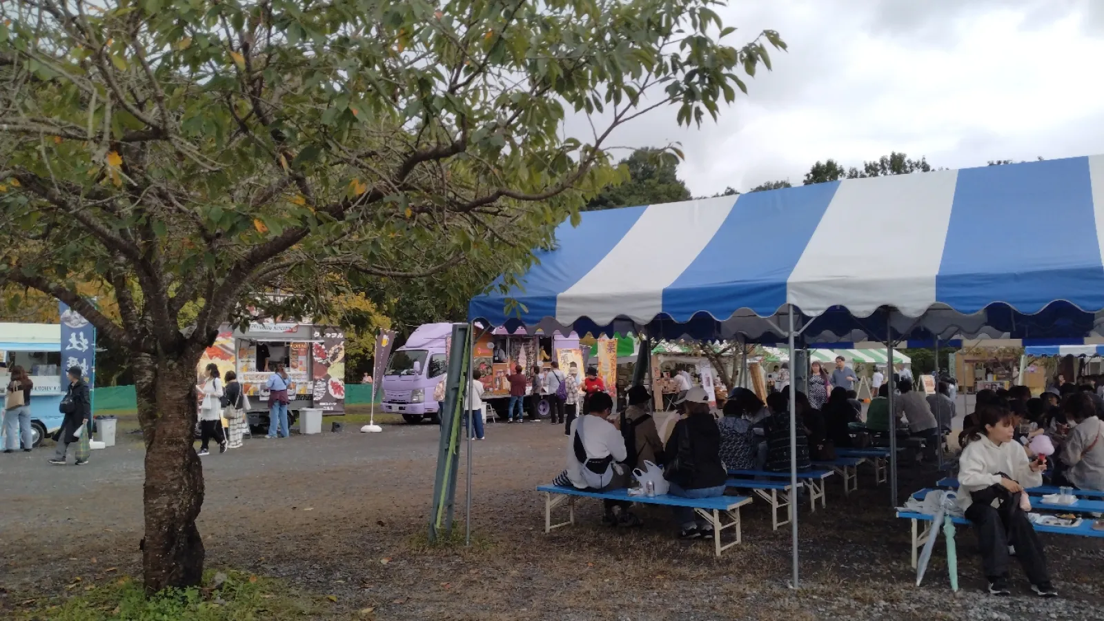 曼珠沙華祭りを開催中。
ド平日にも関わらず、キッチンカーも出て結構な賑わい。
休日はえらいことになりそうですね。