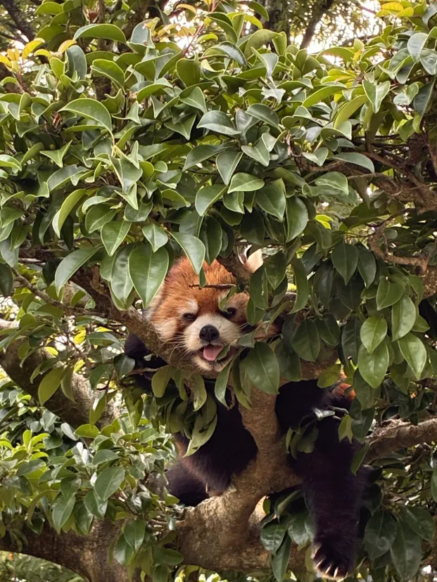 日本一小さい動物園にてスタンプ