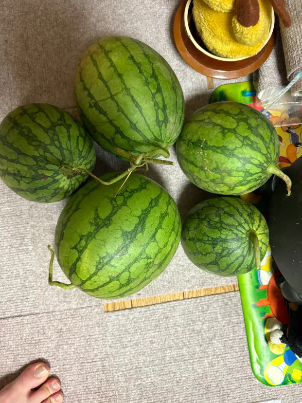 収穫出来ました