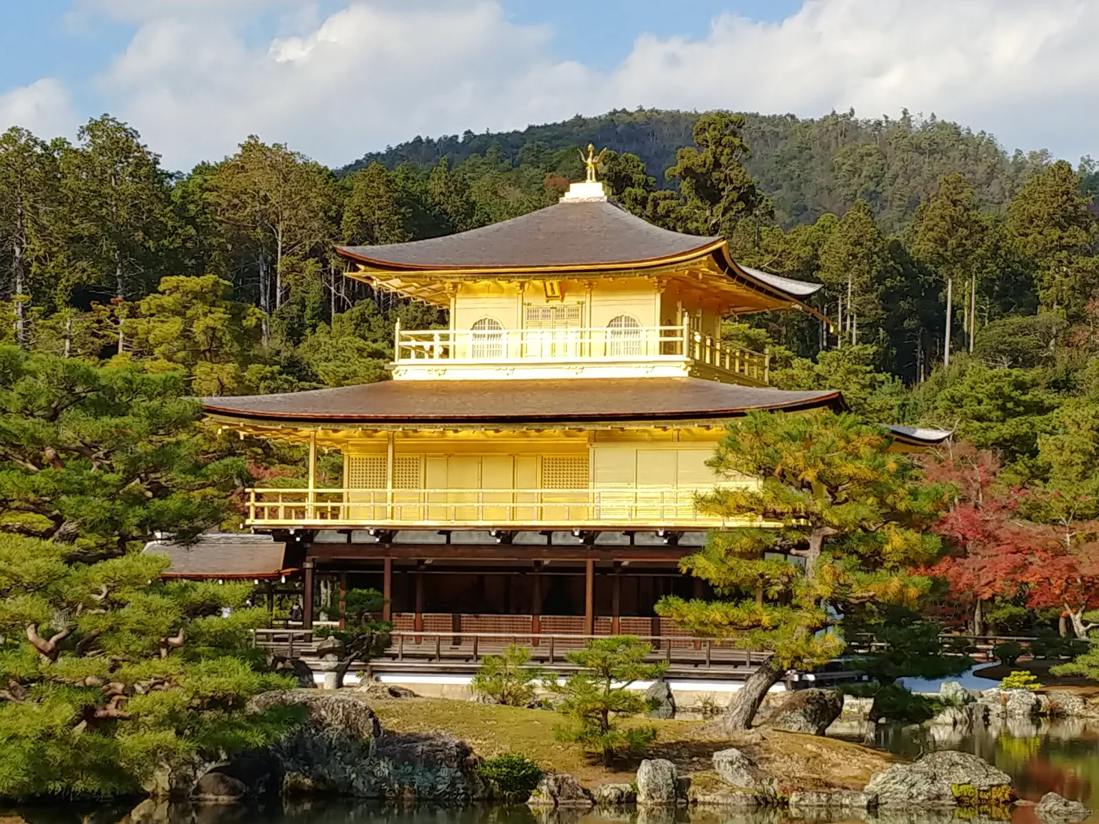 秋に一度、金閣寺見たいな〜
#金閣寺 #純金 #観光名所