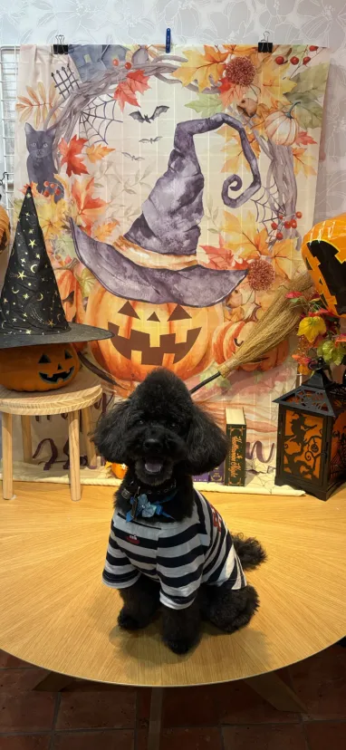 ハロウィン🎃