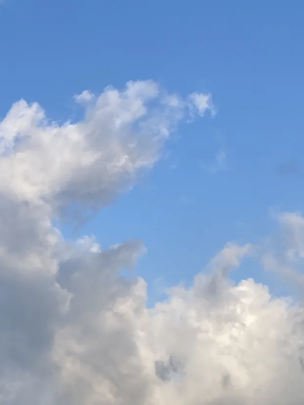空