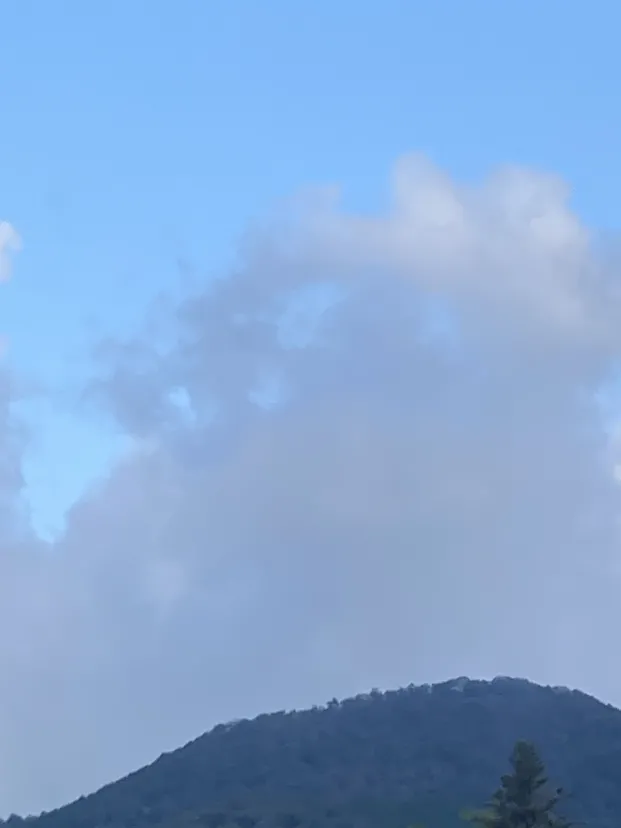 散歩