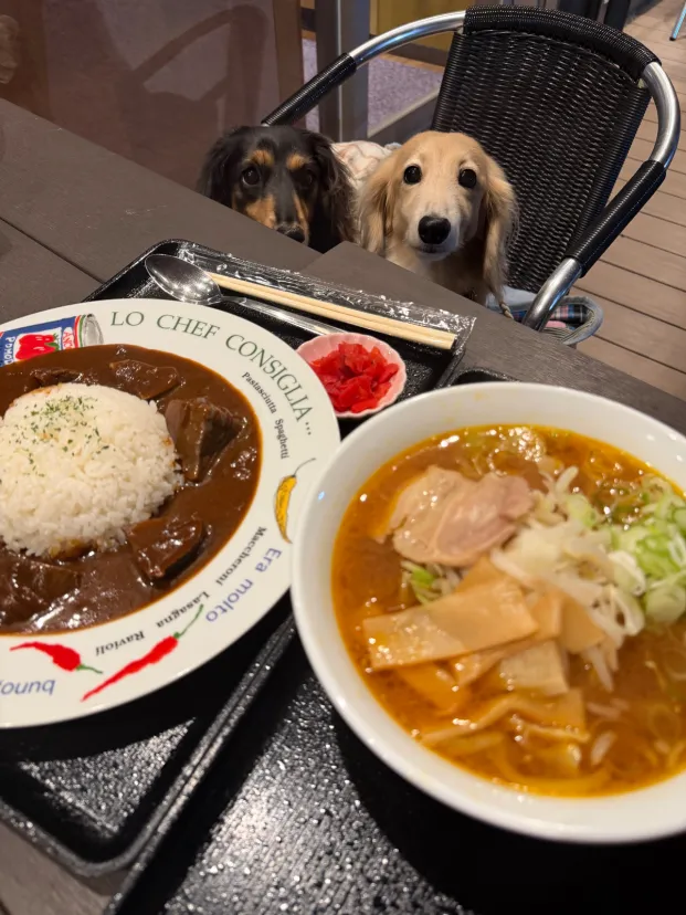 菅生SA
