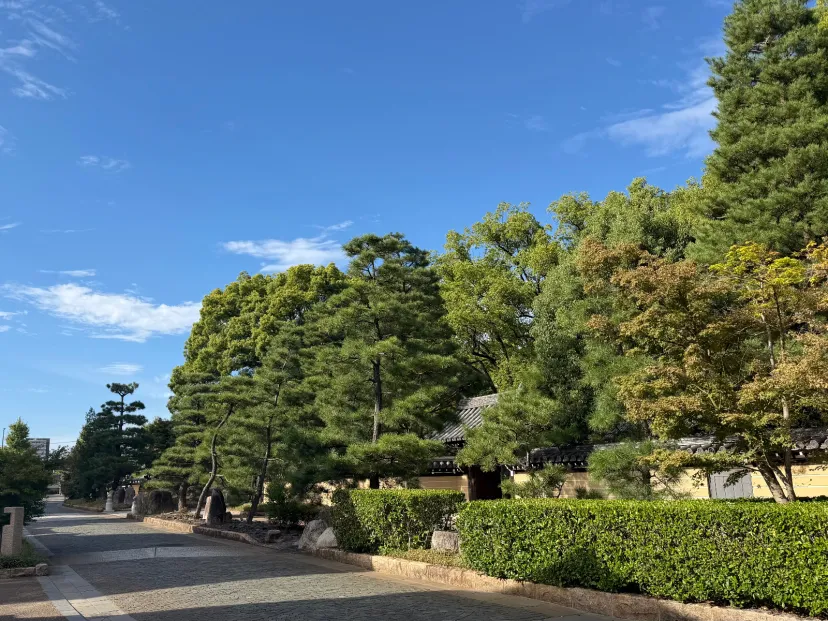 博多の承天寺周辺をお散歩