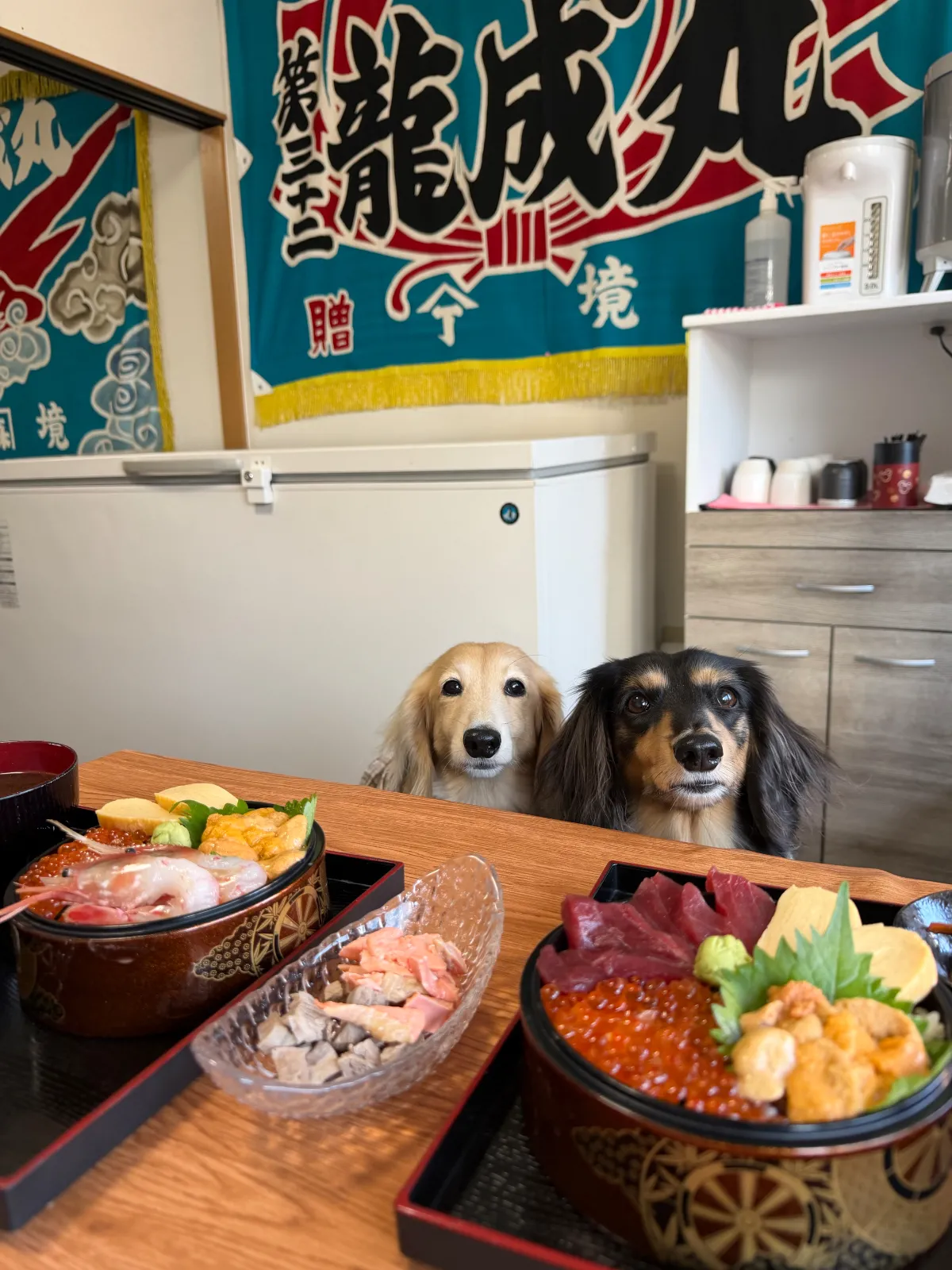 函館朝市の海真さん
店内もわんこOKで2階の広い席に案内してくれました
真ん中のはわんこメニューのまぐろとサーモン🐶🐶