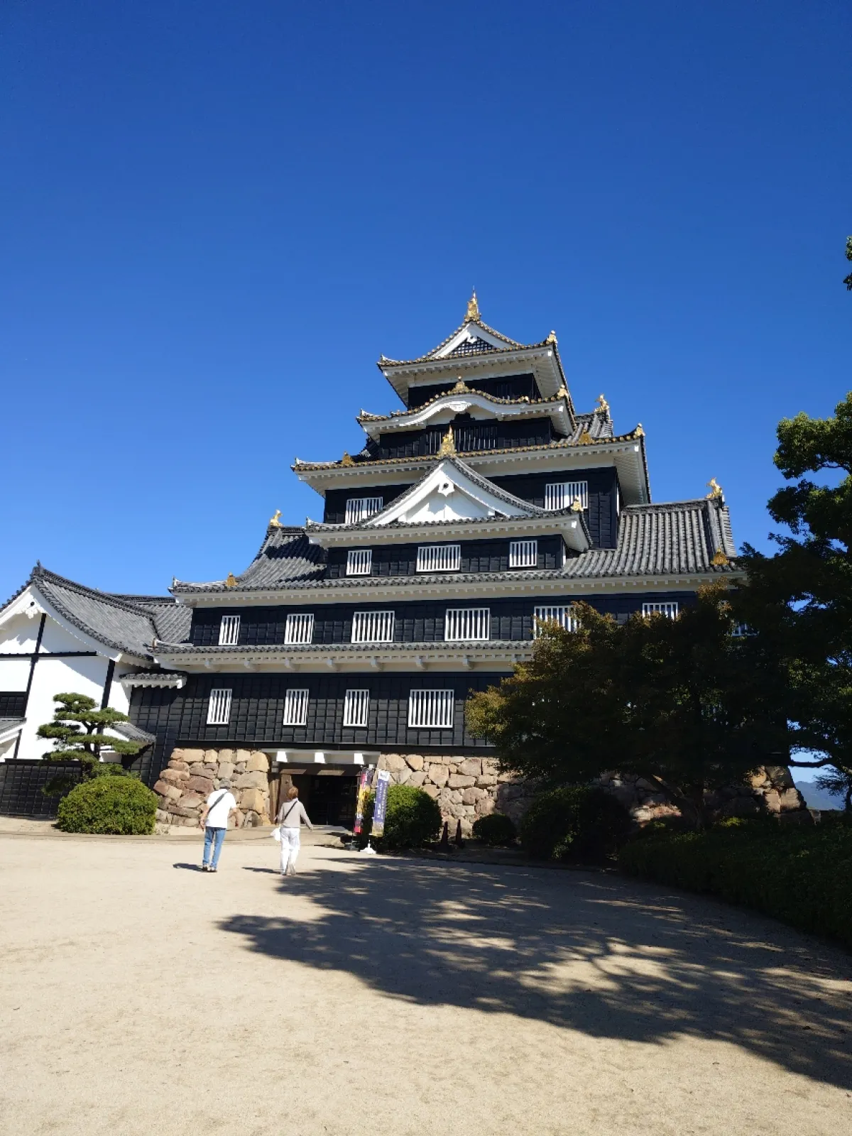 前日の雨が嘘のような晴天となりました。
午前中の朝早く訪れたので、人も少なく快適でした。