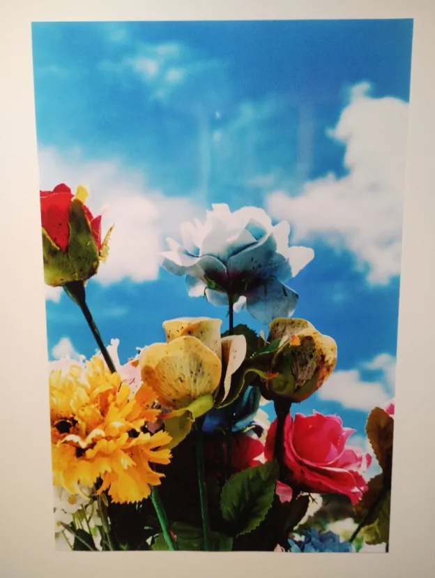 蜷川実花展
