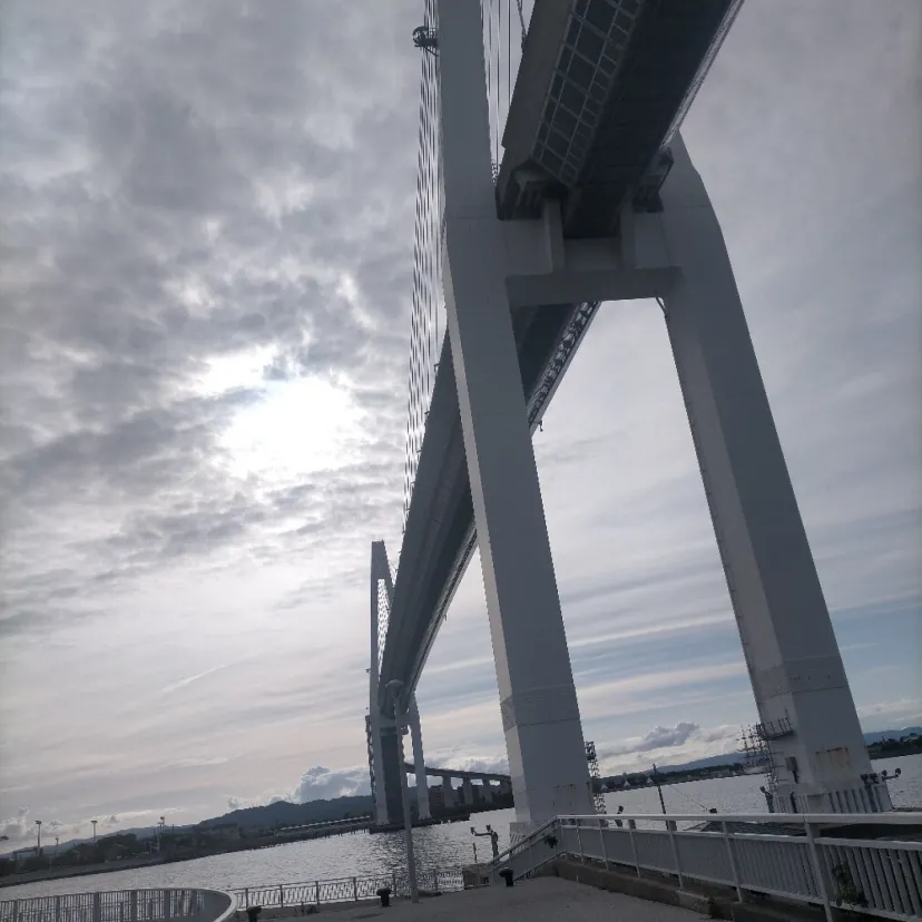 新湊大橋