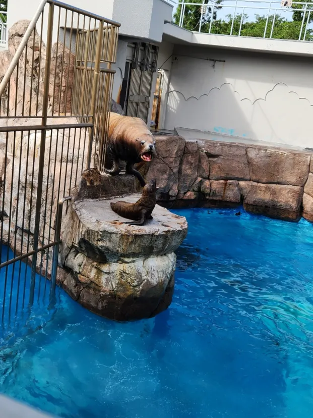マリンピア日本海