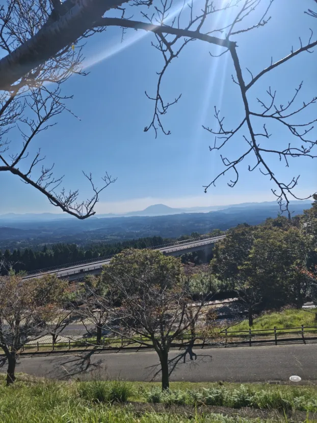 桜島