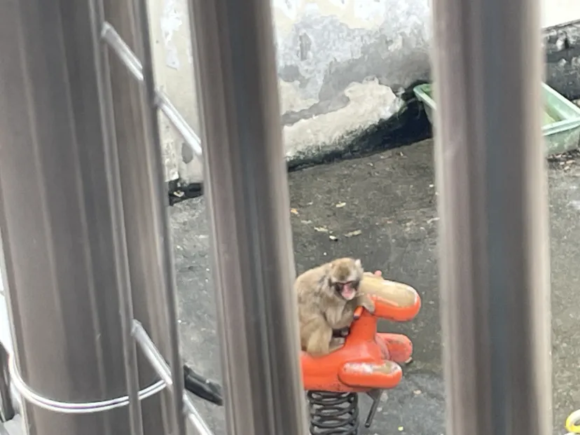 入場無料の大満足動物園