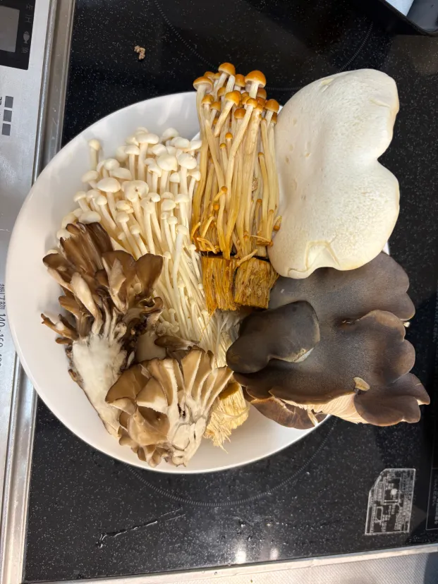 きのこ🍄