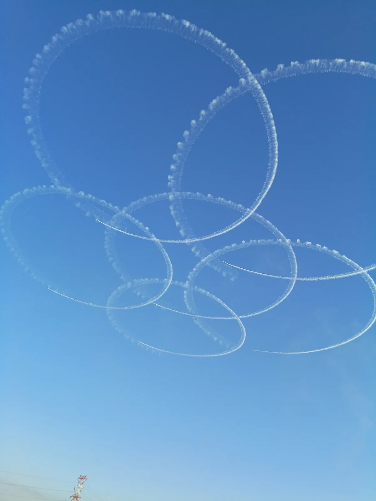 真っ青な空のキャンバスに、見事な花びらが描かれました。