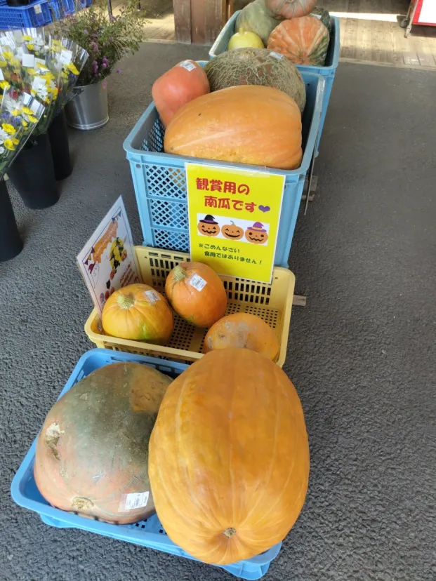 道の駅　にわか茶屋　岐阜県美濃市