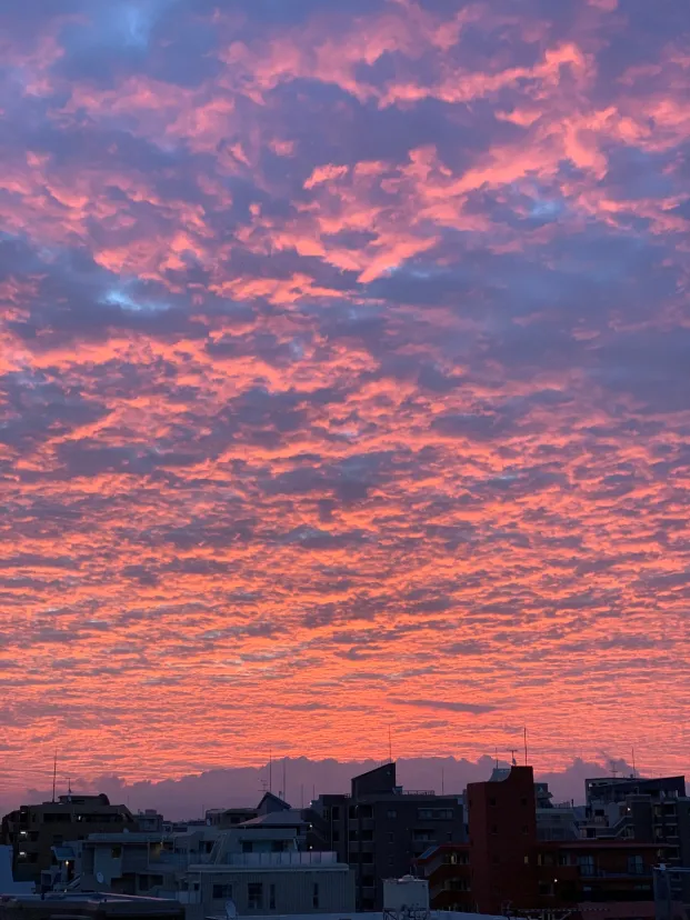 朝焼け