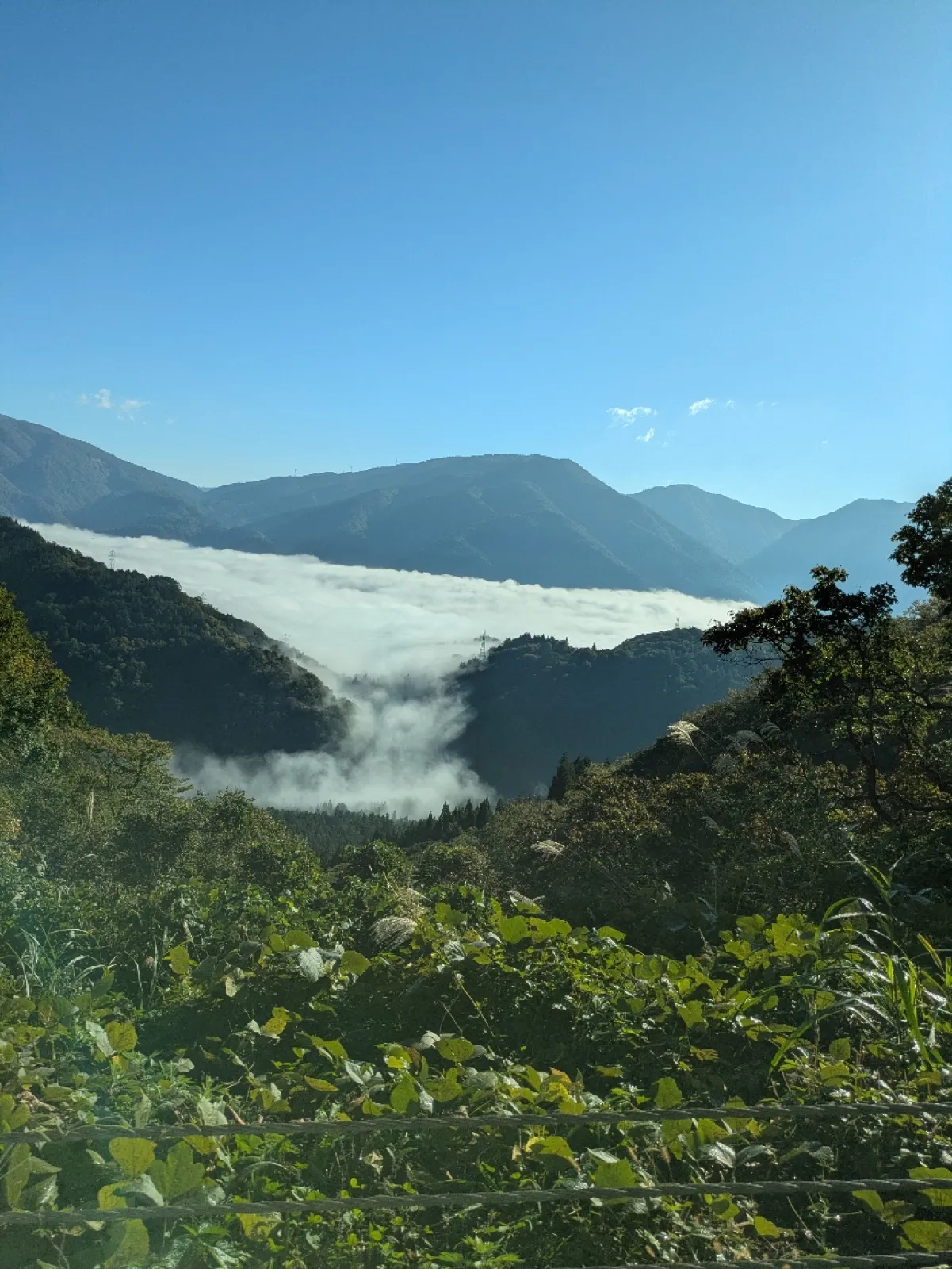 雲の滝も見られました