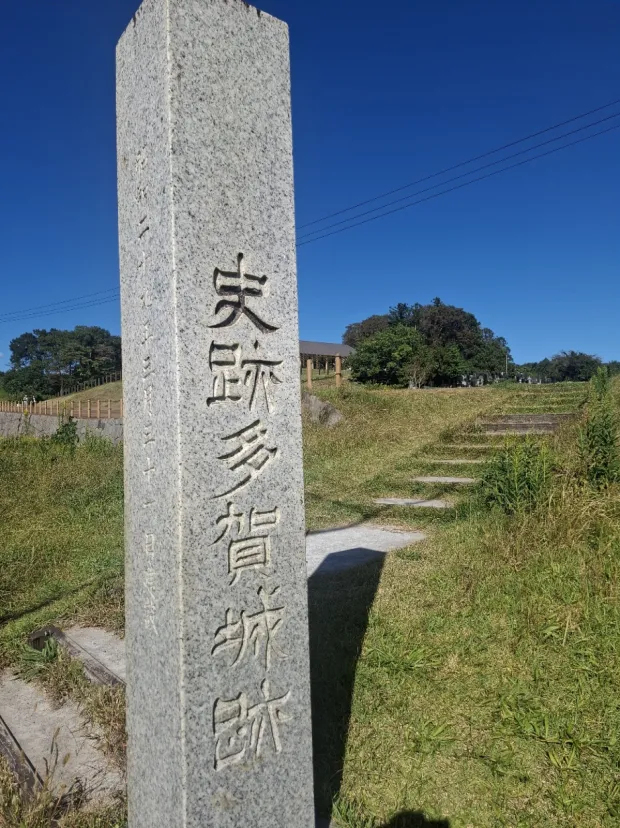 国府多賀城南門