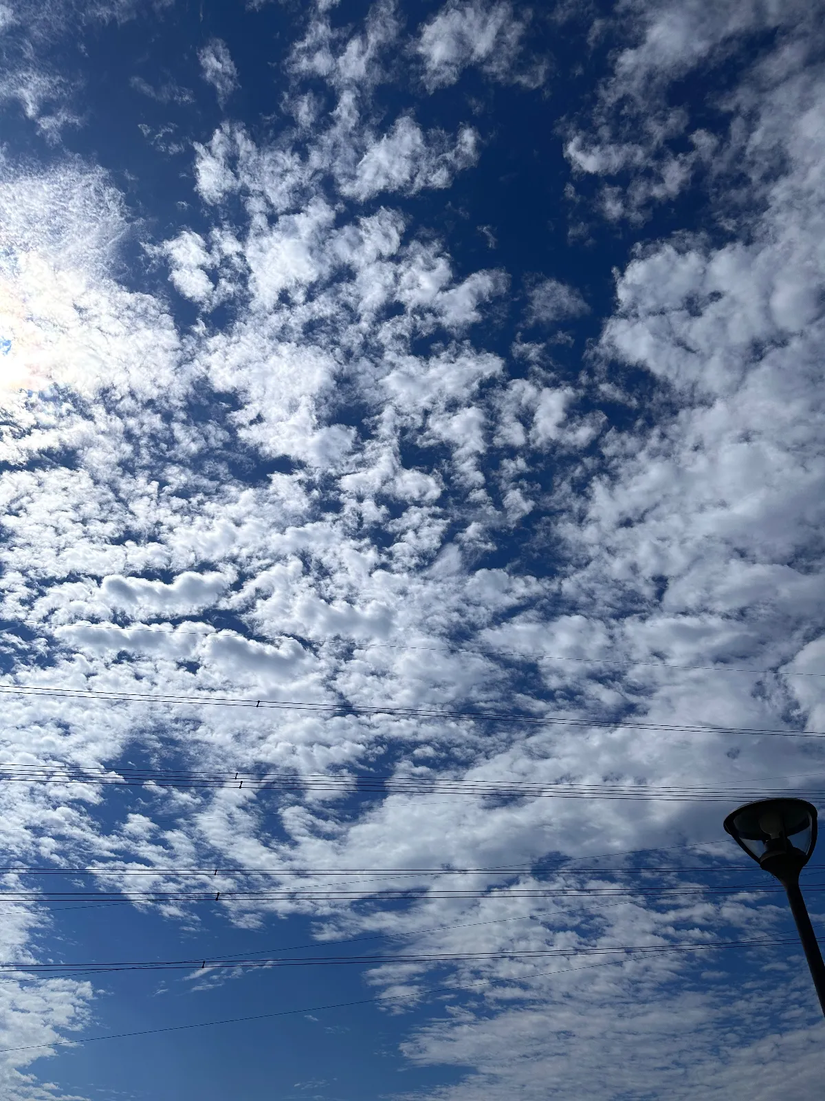 変な形の雲見つけた！！
暑すぎず寒すぎずで過ごしやすい季節だ！
秋かと言われればどうなのかな
でも夏はもういないかな
沢山遊びにいけたらいいな