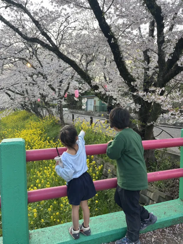 行屋川水辺公園さくら祭り