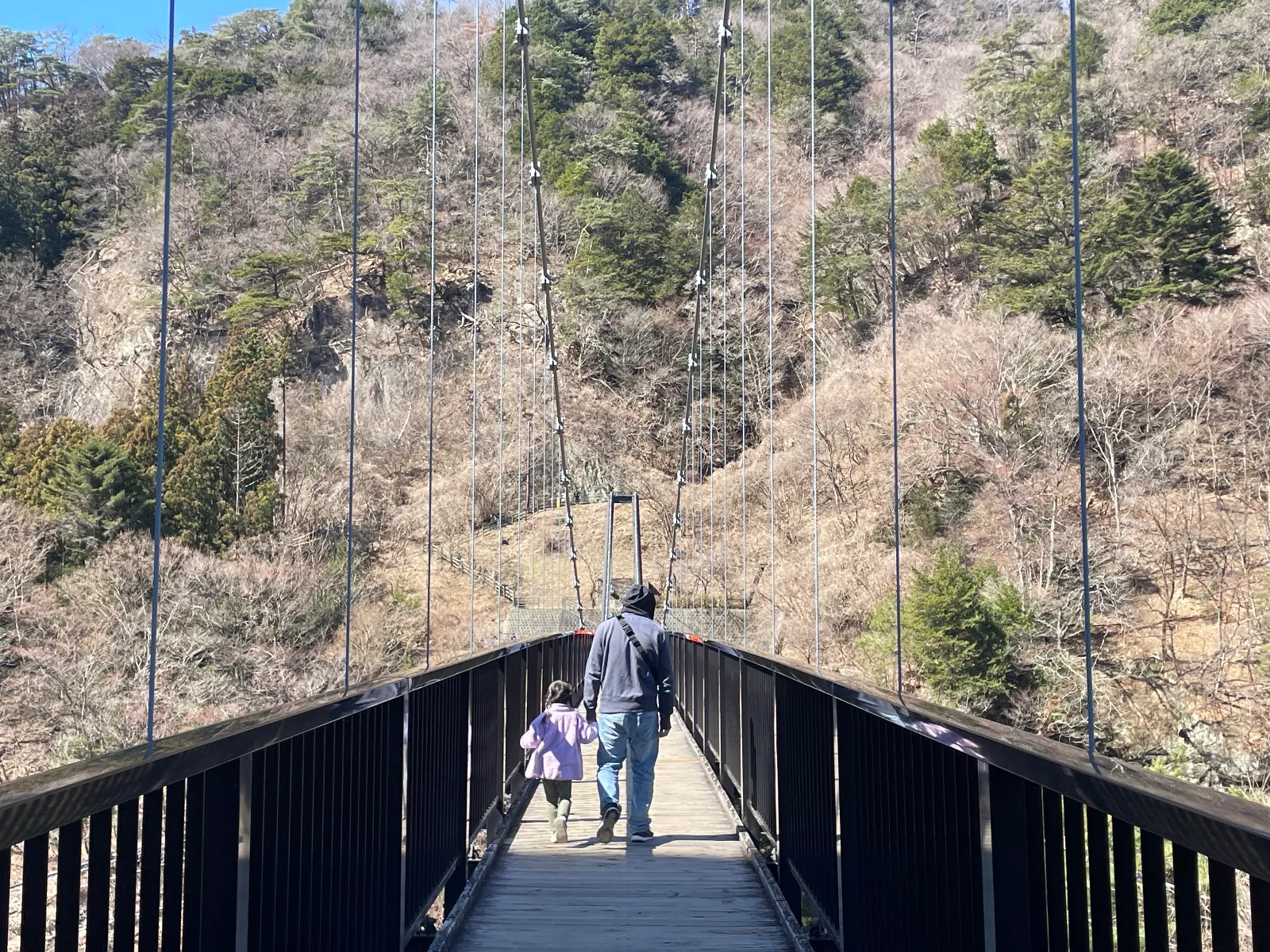 鬼怒川行った時渡りました〜最初は怖がってた子どもたちもだんだん楽しくなって渡った先の軽い登山も体験!遠くにお猿さんも見えた👀👀🐒