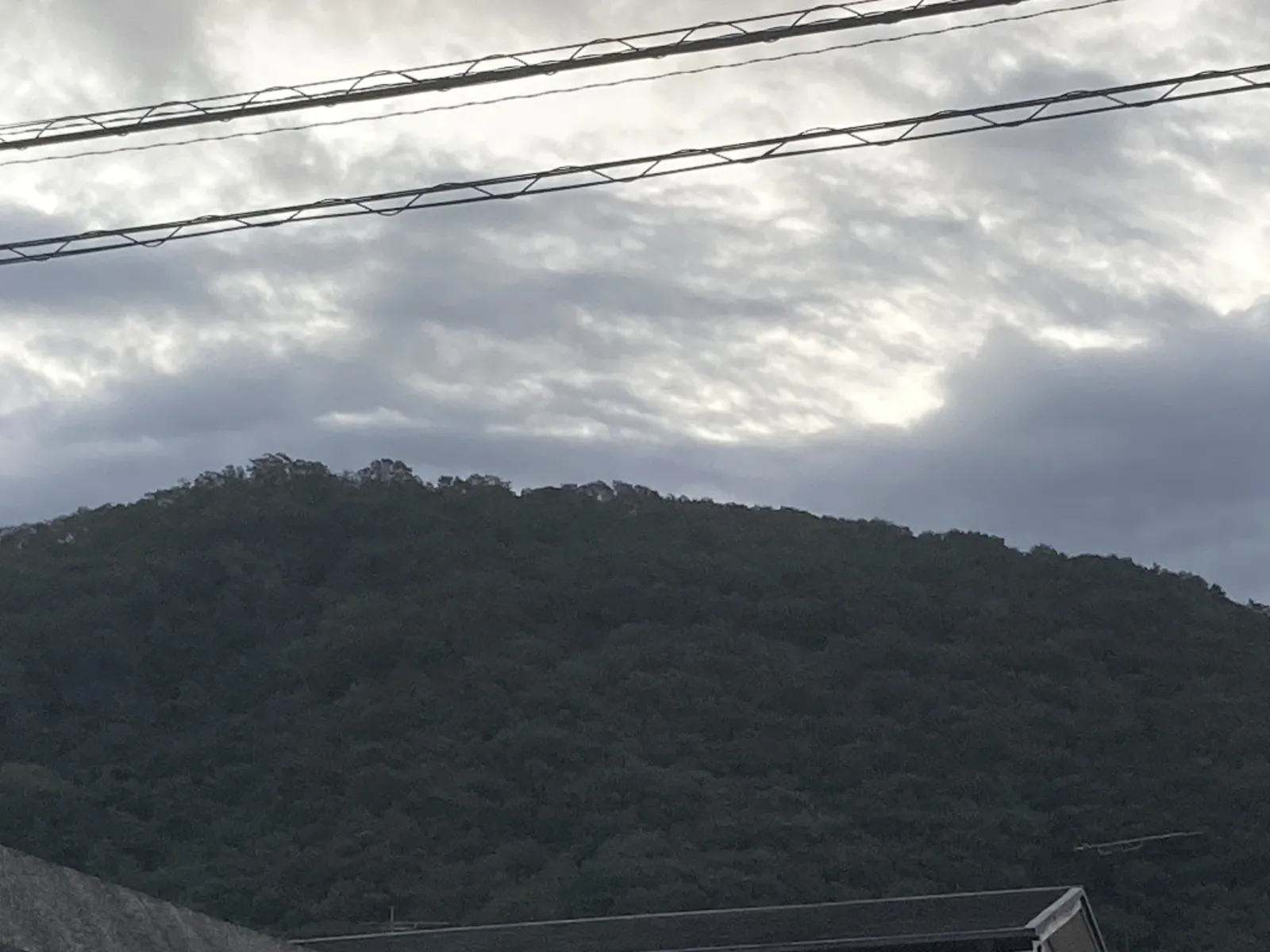 山