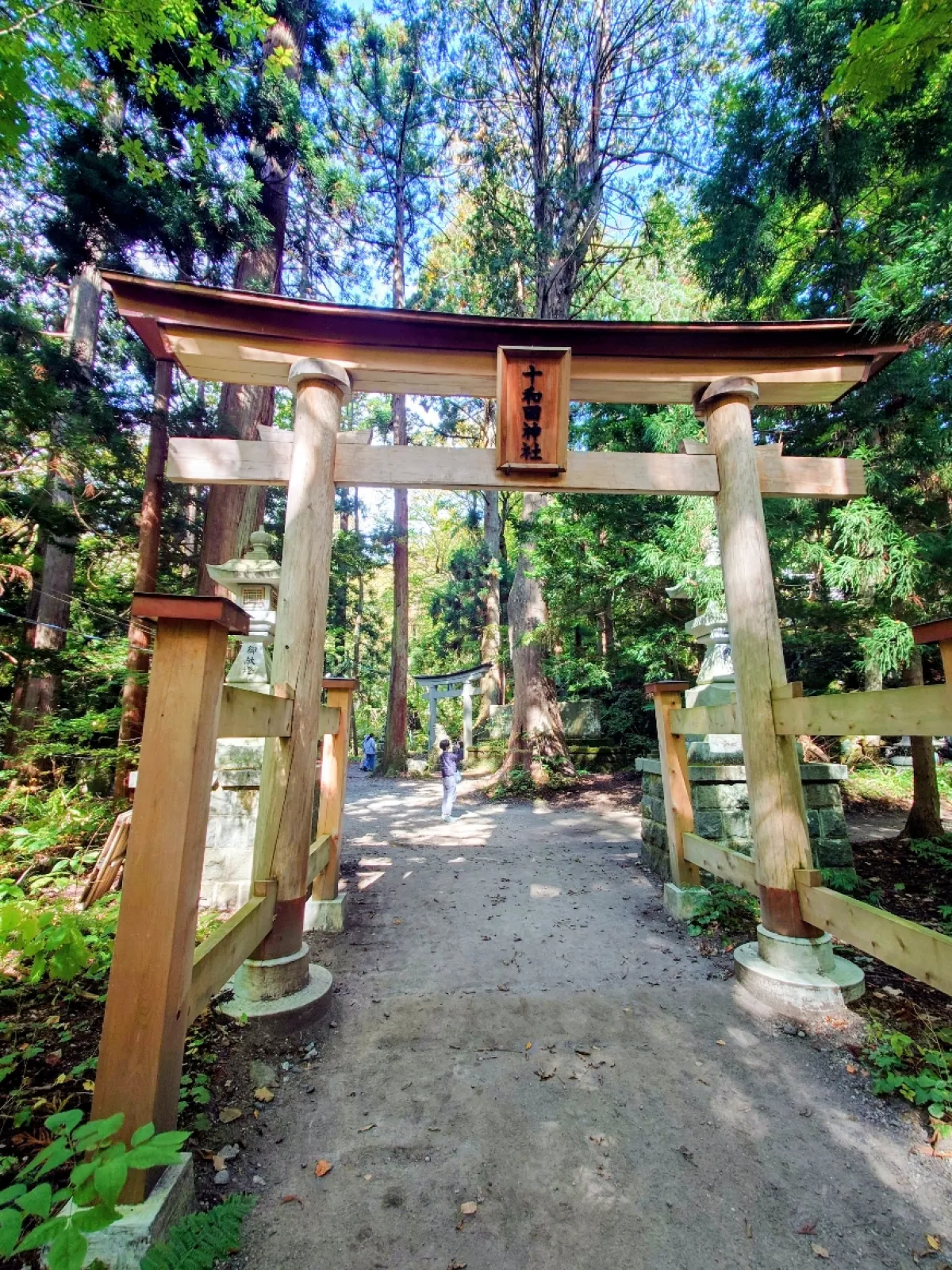 観光お土産屋さんの並ぶ脇から鬱蒼とした巨木が茂る森の中を歩くと十和田神社の鳥居が現れます。