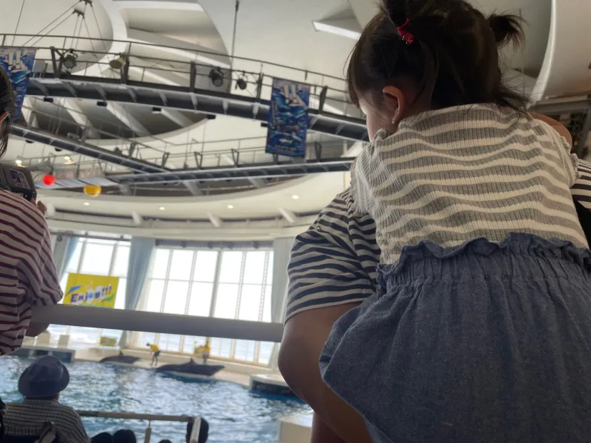 大洗水族館🐬