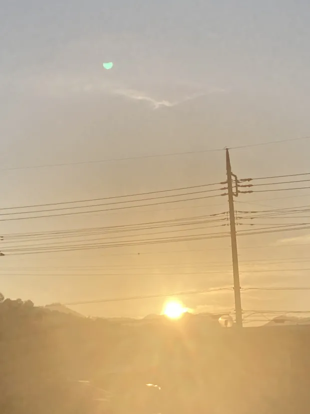 朝日