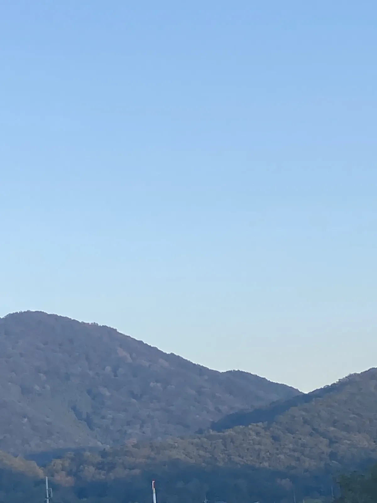 山