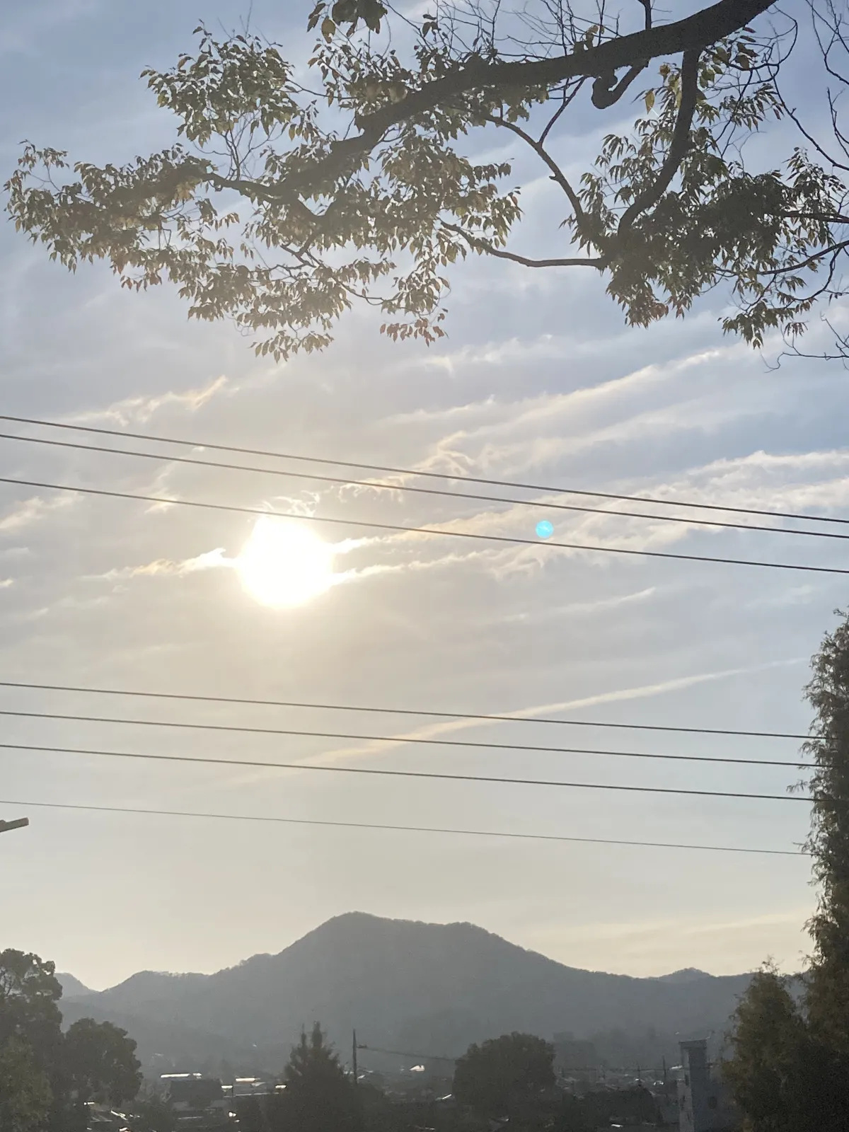 朝日