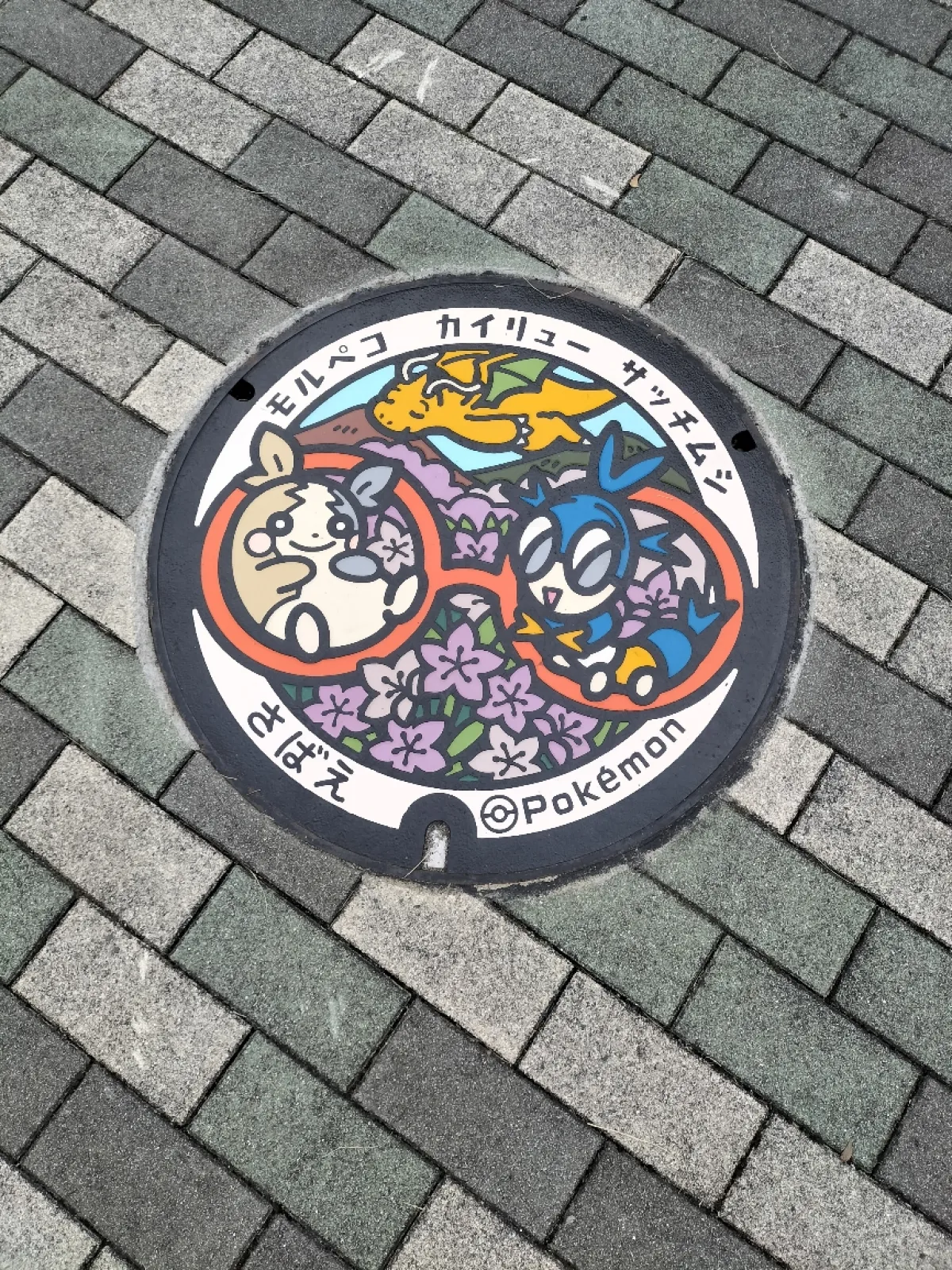 福井県鯖江市のポケふたです。西山公園にあります。