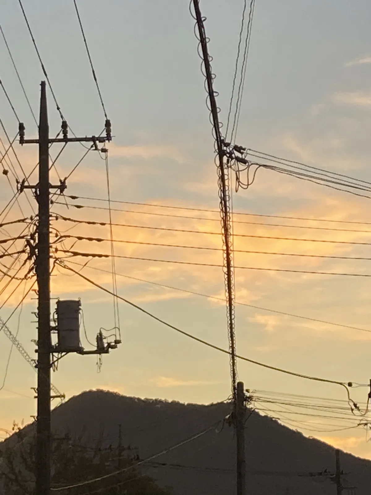 山
